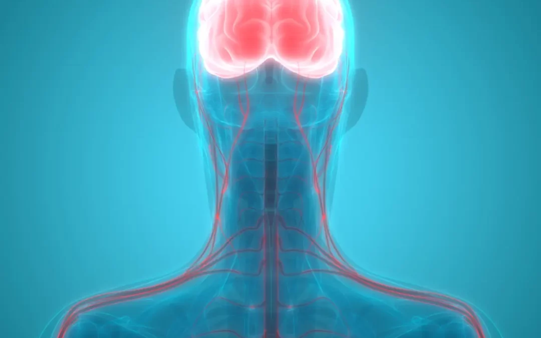 Beyond “Midwest Nice”: 5 Signs Your Nervous System Is Overwhelmed
